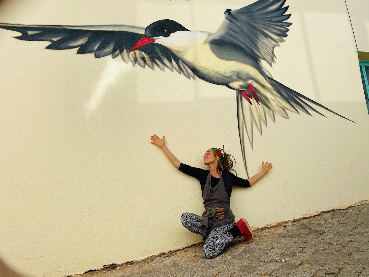 Andorinha Do Mar Cafe' Organico - 4