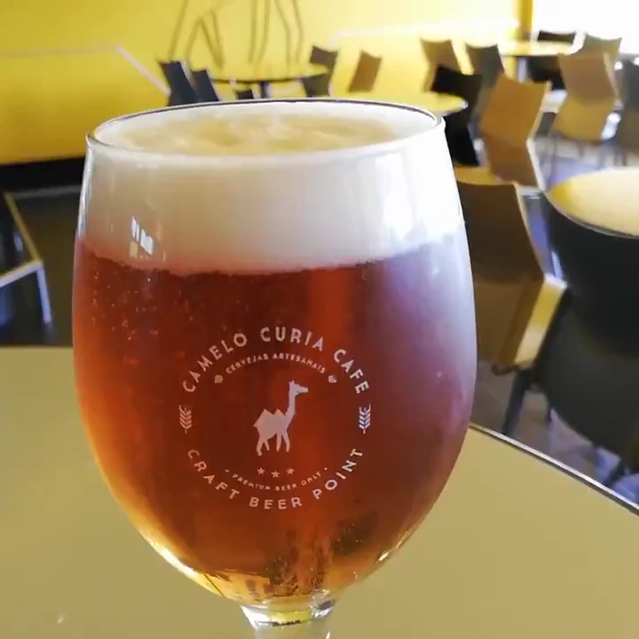 Camel Cafe Curia - 3