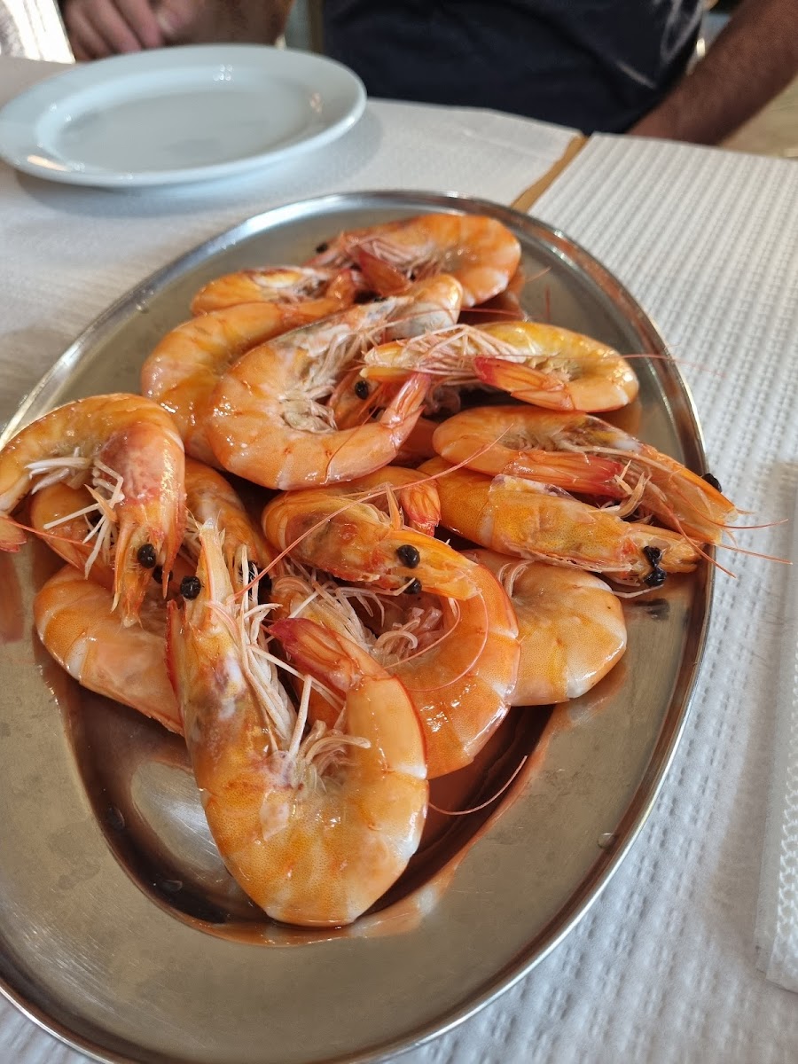 Café São João - 9